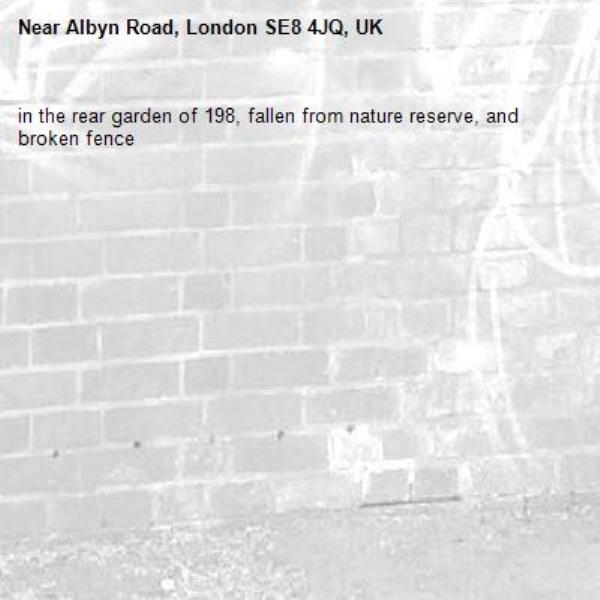 in the rear garden of 198, fallen from nature reserve, and broken fence-Albyn Road, London SE8 4JQ, UK
