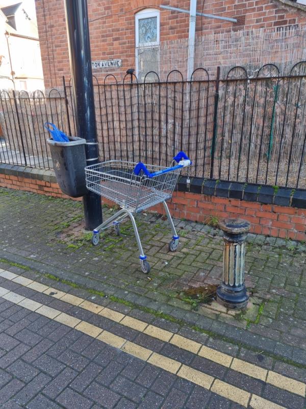 Tesco trolley left here for a few weeks-3 Merton Avenue, Leicester, LE3 6BF