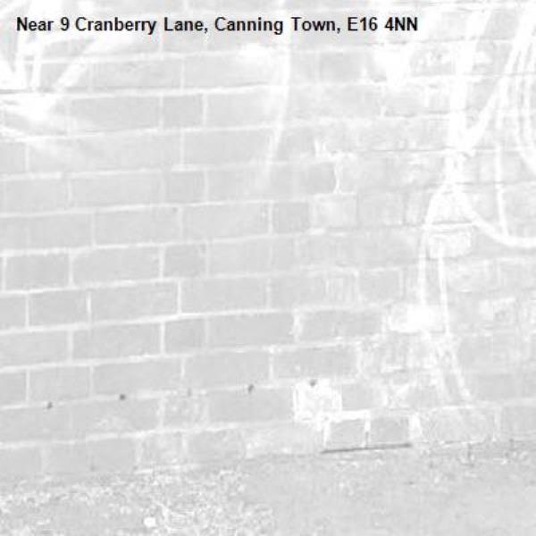 -9 Cranberry Lane, Canning Town, E16 4NN