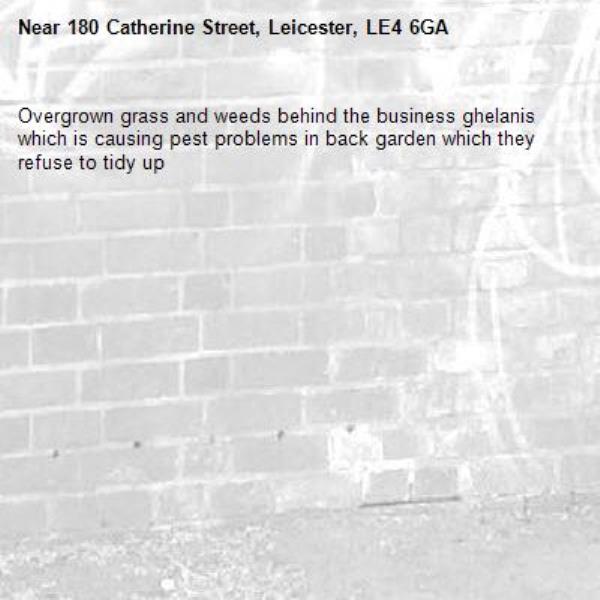 Overgrown grass and weeds behind the business ghelanis which is causing pest problems in back garden which they refuse to tidy up -180 Catherine Street, Leicester, LE4 6GA