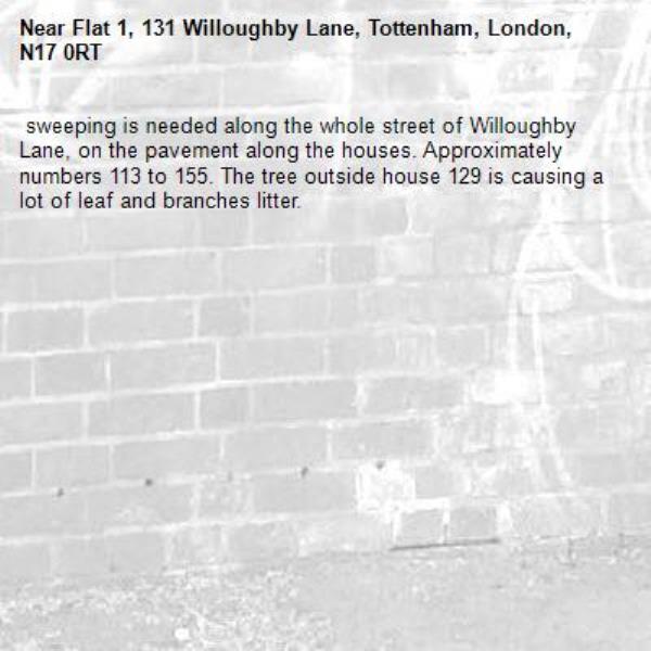  sweeping is needed along the whole street of Willoughby Lane, on the pavement along the houses. Approximately numbers 113 to 155. The tree outside house 129 is causing a lot of leaf and branches litter. -Flat 1, 131 Willoughby Lane, Tottenham, London, N17 0RT