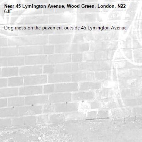 Dog mess on the pavement outside 45 Lymington Avenue -45 Lymington Avenue, Wood Green, London, N22 6JE