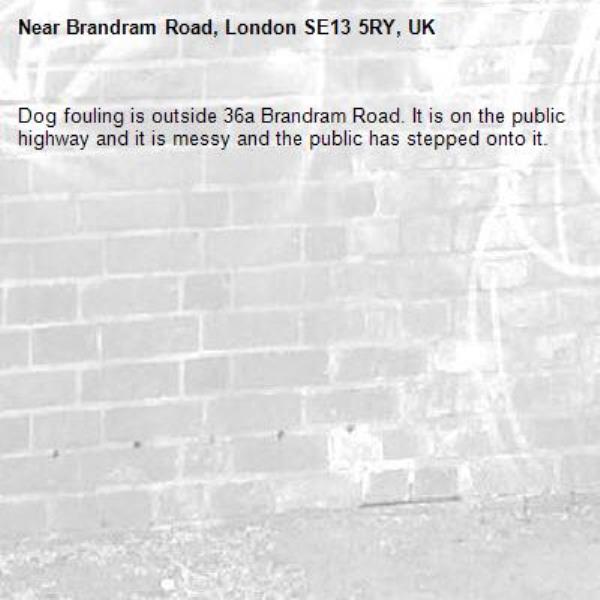 Dog fouling is outside 36a Brandram Road. It is on the public highway and it is messy and the public has stepped onto it.-Brandram Road, London SE13 5RY, UK