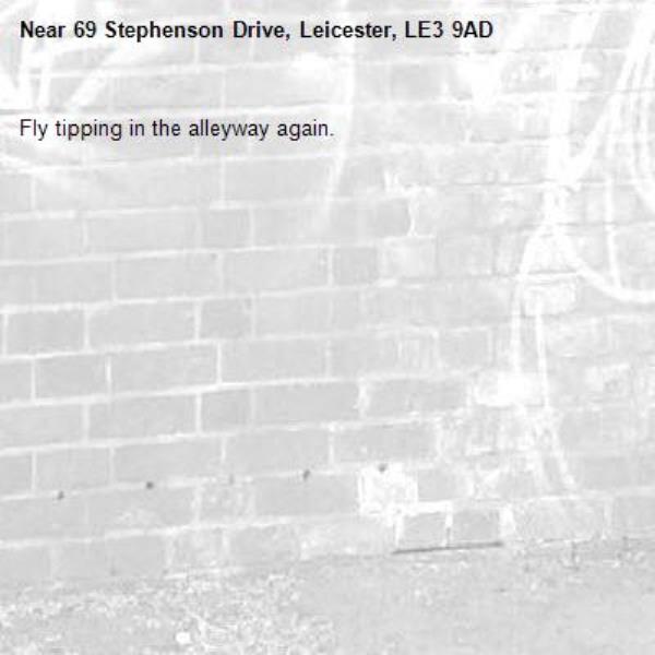 Fly tipping in the alleyway again.-69 Stephenson Drive, Leicester, LE3 9AD