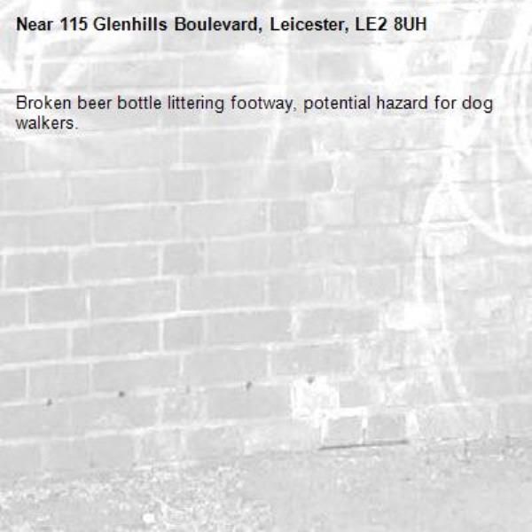 Broken beer bottle littering footway, potential hazard for dog walkers.-115 Glenhills Boulevard, Leicester, LE2 8UH
