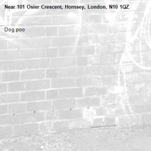 Dog poo -101 Osier Crescent, Hornsey, London, N10 1QZ