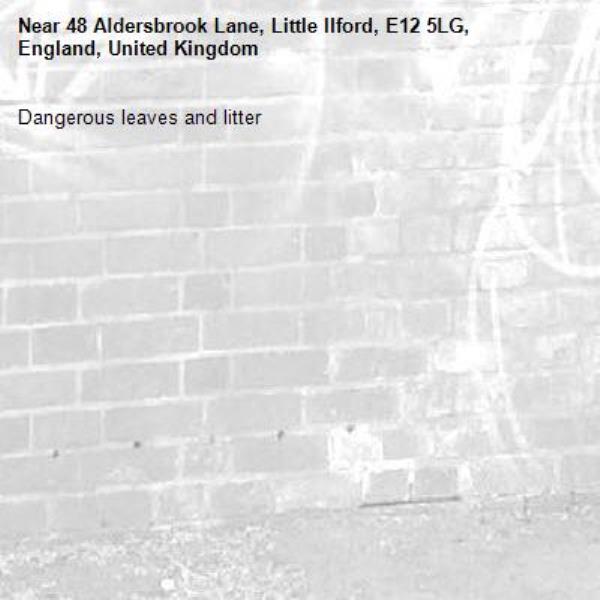 Dangerous leaves and litter-48 Aldersbrook Lane, Little Ilford, E12 5LG, England, United Kingdom