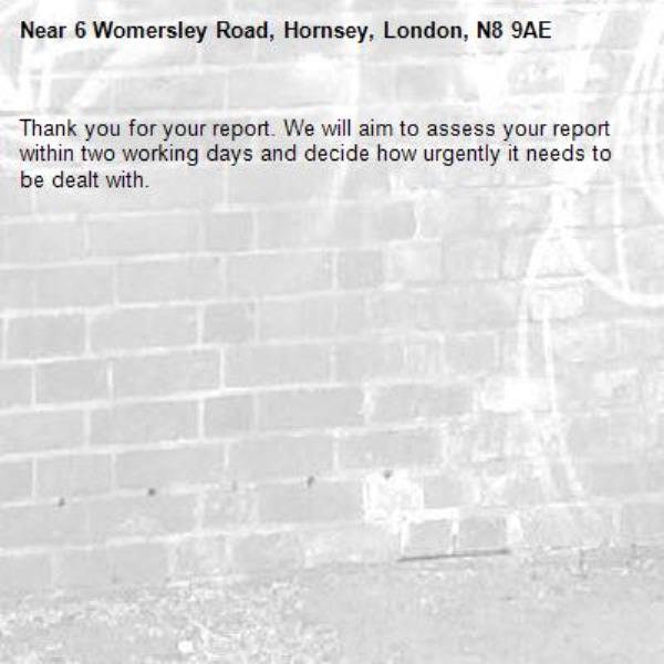 Thank you for your report. We will aim to assess your report within two working days and decide how urgently it needs to be dealt with.-6 Womersley Road, Hornsey, London, N8 9AE