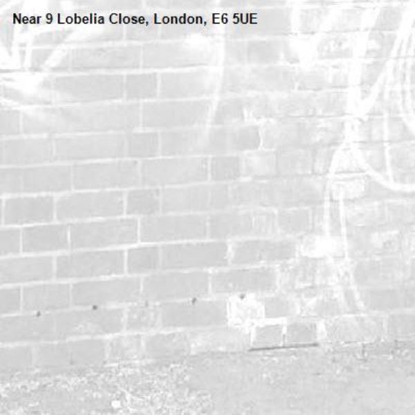 -9 Lobelia Close, London, E6 5UE