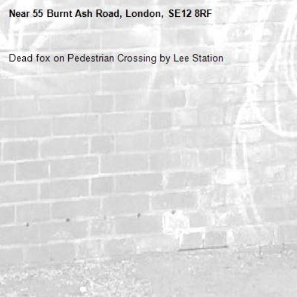 Dead fox on Pedestrian Crossing by Lee Station-55 Burnt Ash Road, London, SE12 8RF
