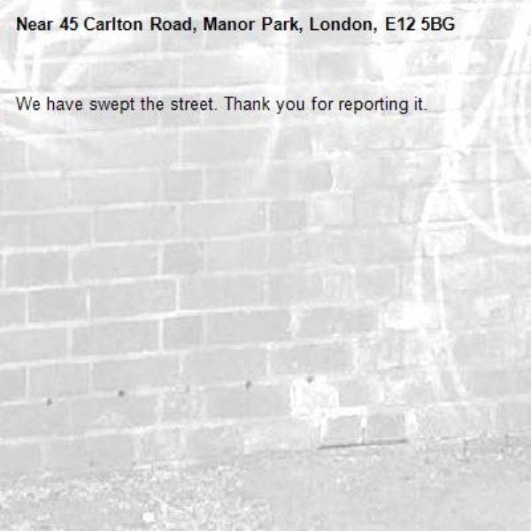 We have swept the street. Thank you for reporting it.-45 Carlton Road, Manor Park, London, E12 5BG