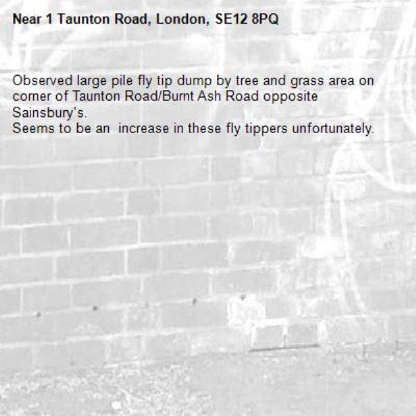 Observed large pile fly tip dump by tree and grass area on corner of Taunton Road/Burnt Ash Road opposite Sainsbury's. 
Seems to be an  increase in these fly tippers unfortunately.-1 Taunton Road, London, SE12 8PQ