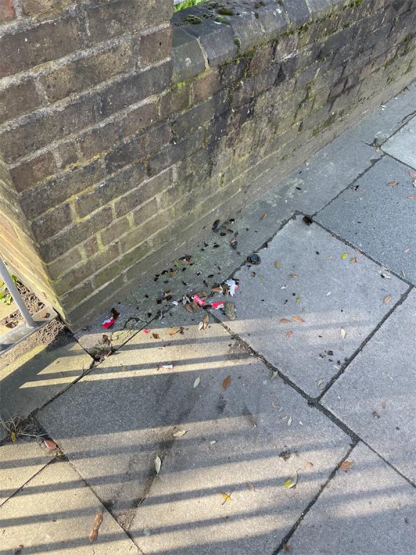 Lots of broken glass outside fyfield court gate-Sycamore Court, 228 Romford Road, Forest Gate, London, E7 9HB