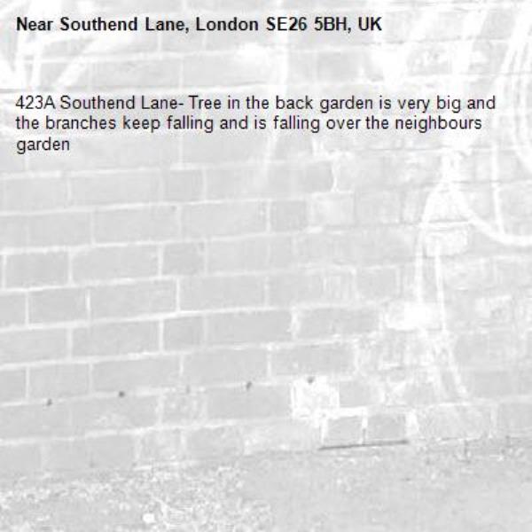 423A Southend Lane- Tree in the back garden is very big and the branches keep falling and is falling over the neighbours garden-Southend Lane, London SE26 5BH, UK