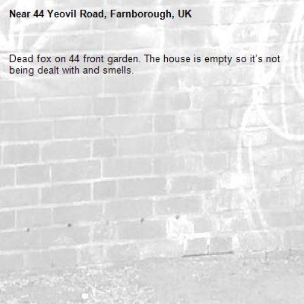Dead fox on 44 front garden. The house is empty so it’s not being dealt with and smells. -44 Yeovil Road, Farnborough, UK