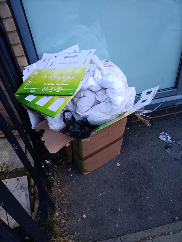 Rubbish in a cardboard box -3 White Road, Stratford, London, E15 4HA