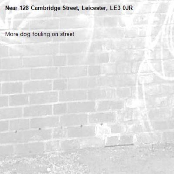 More dog fouling on street -128 Cambridge Street, Leicester, LE3 0JR