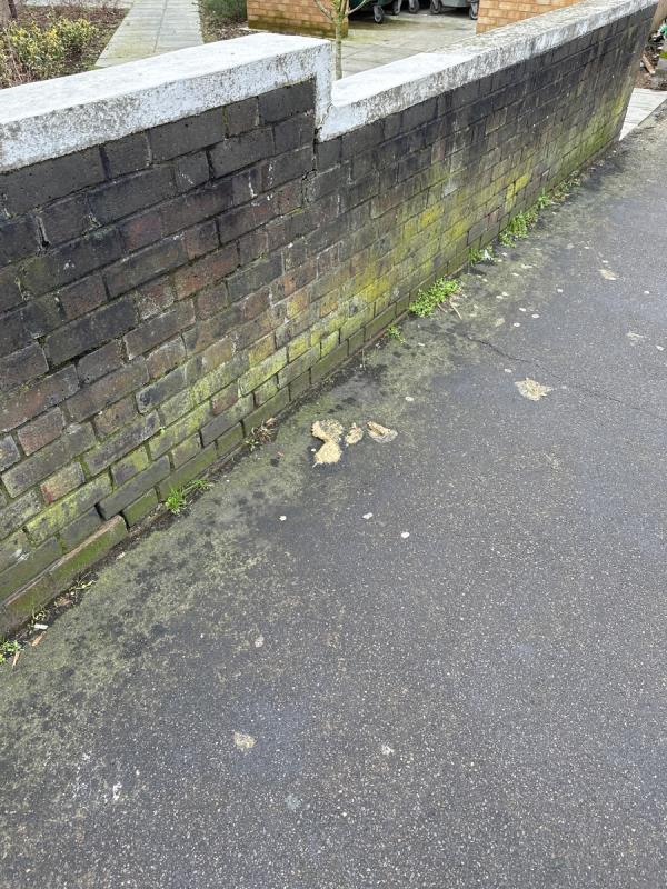 Large amount of dog poo on Marnock Road, outside 39 Brockley Grove estate-67 Brockley Grove, Crofton Park, SE4 1DZ, England, United Kingdom