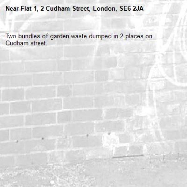Two bundles of garden waste dumped in 2 places on Cudham street.-Flat 1, 2 Cudham Street, London, SE6 2JA