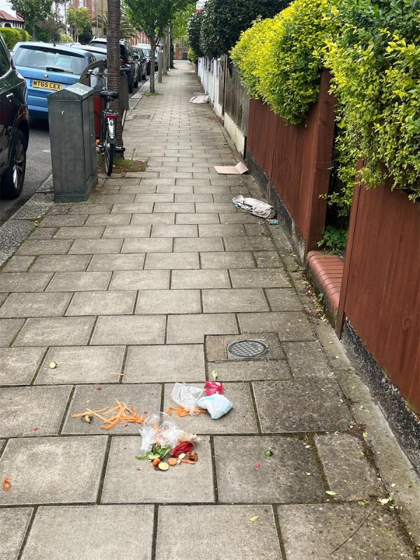 Rubbish left strewn all over pavement and all up the road after bin collection this morning -25 Roseneath Road, London, SW11 6AG