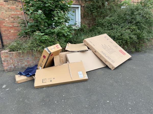 Mass dump of cardboard -38 Dyson Road, Stratford, London, E15 4JX
