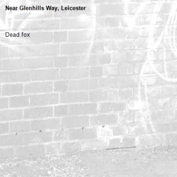 Dead fox-Glenhills Way, Leicester