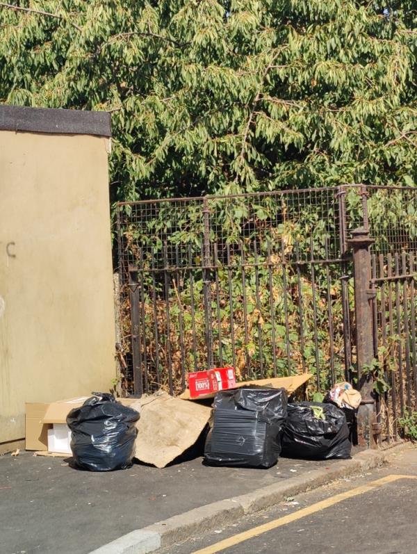 Black bin bags and boxes -2a Stokes Road, East Ham, E6 3SB