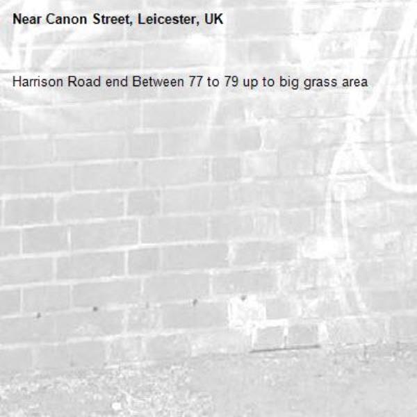 Harrison Road end Between 77 to 79 up to big grass area-Canon Street, Leicester, UK