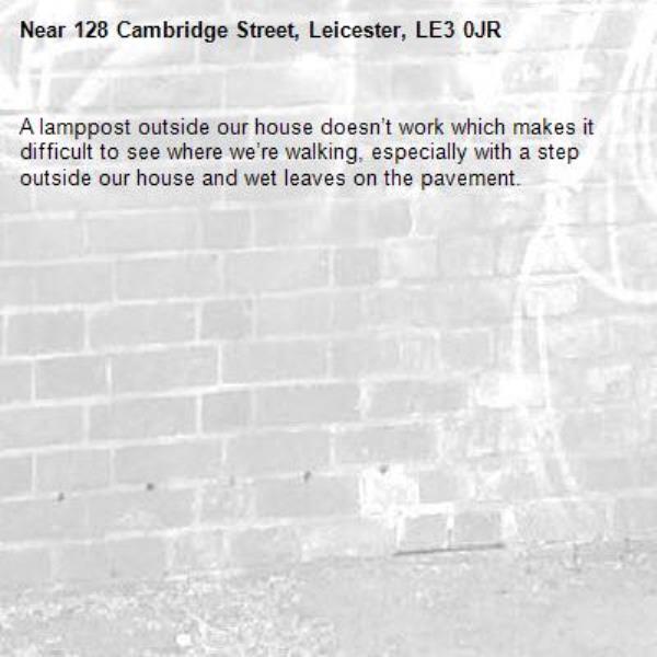A lamppost outside our house doesn’t work which makes it difficult to see where we’re walking, especially with a step outside our house and wet leaves on the pavement.-128 Cambridge Street, Leicester, LE3 0JR