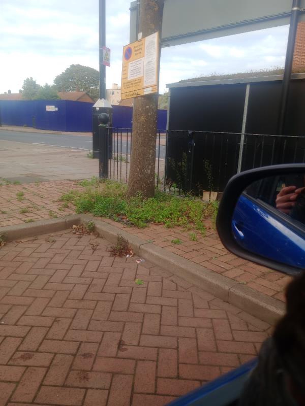 Weeds weeds weeds are unacceptable outside coral bookmakers, pull your finger out and tidy the borough. I really don't understand why I have to report these jobs that should be taken care of by your street cleaning team -24 Freemasons Road, Canning Town, London, E16 3NA
