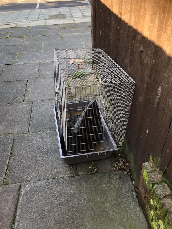 Footpath to Garden Close. Please clear an animal cage-First Floor, 8 Chinbrook Road, Grove Park, London, SE12 9TH