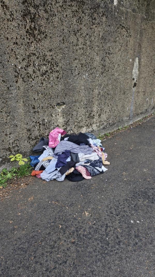 Lots of clothes have been dumped here on top of the usual litter...-41 Pavilion Road, Aldershot, GU11 3NX