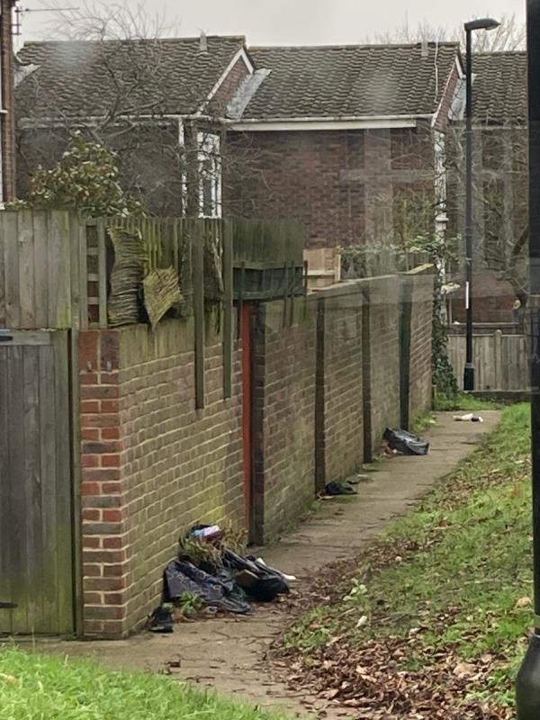 Several black rubbish bags dumped on the walkway at this location attracting vermin. The bags are on the Catford Hill side of the address. Please could you arrange to remove. Many thanks. -20 Vineyard Close, Catford, SE6 4PH, England, United Kingdom