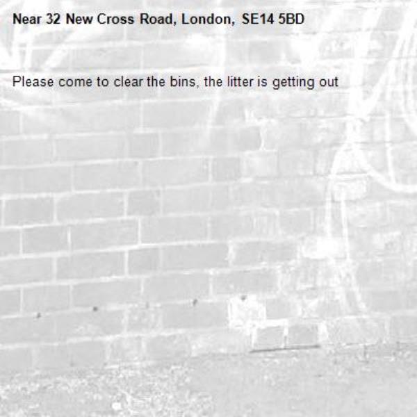 Please come to clear the bins, the litter is getting out-32 New Cross Road, London, SE14 5BD