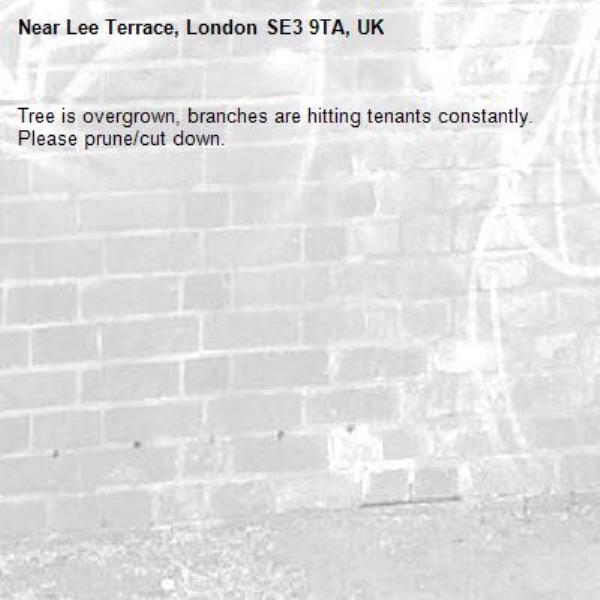 Tree is overgrown, branches are hitting tenants constantly. Please prune/cut down.-Lee Terrace, London SE3 9TA, UK