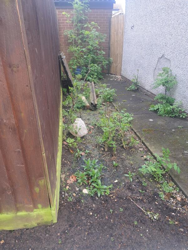Rubbish been left for months and weeds overgrowing-30 Amadis Road, Leicester, LE4 1DB