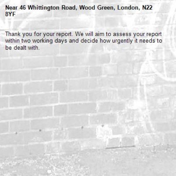 Thank you for your report. We will aim to assess your report within two working days and decide how urgently it needs to be dealt with.-46 Whittington Road, Wood Green, London, N22 8YF