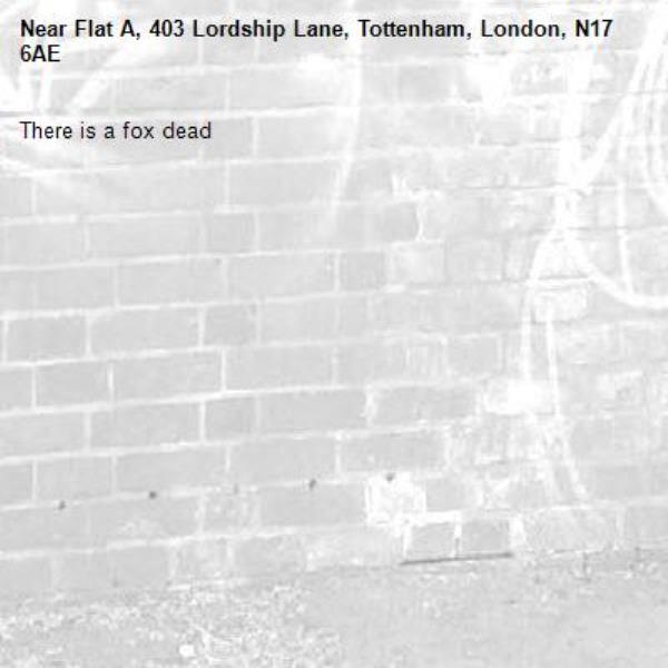 There is a fox dead -Flat A, 403 Lordship Lane, Tottenham, London, N17 6AE