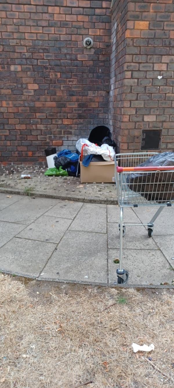 Someone dumped a shopping trolley full of black bags people have been opening them and scattering the contents around. I have picked them up off the path and grass and pit them neater  there is also a bag full of food.....if left it will be scattered again tonight-Summer House Bonfield Road, London, SE13 5EU
