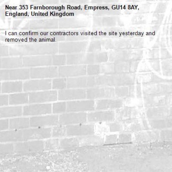 I can confirm our contractors visited the site yesterday and removed the animal. -353 Farnborough Road, Empress, GU14 8AY, England, United Kingdom