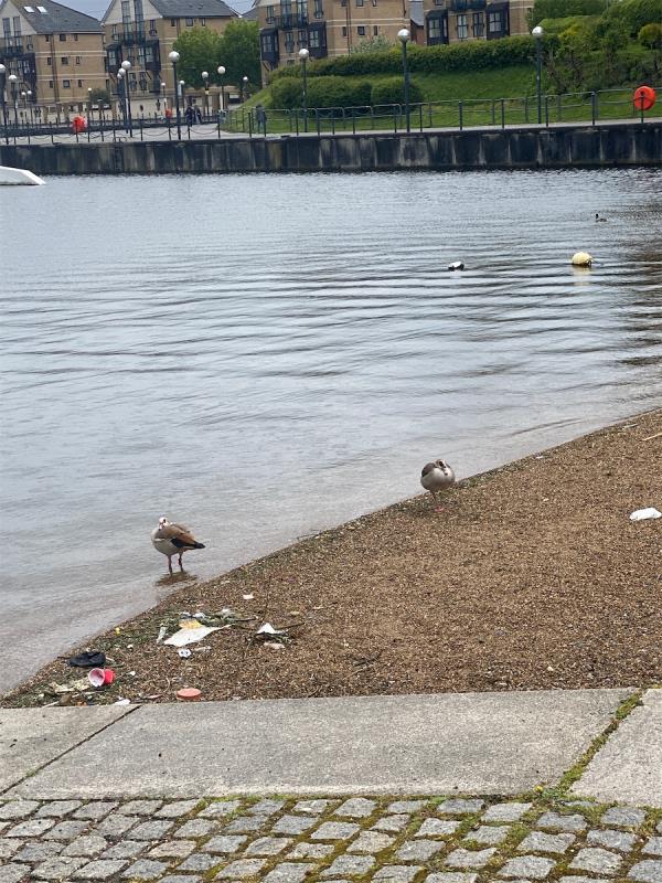 The small beach at the docks is filthy -The Oiler, Royal Victoria Dock, Western Gateway, Canning Town, London, E16 1SJ