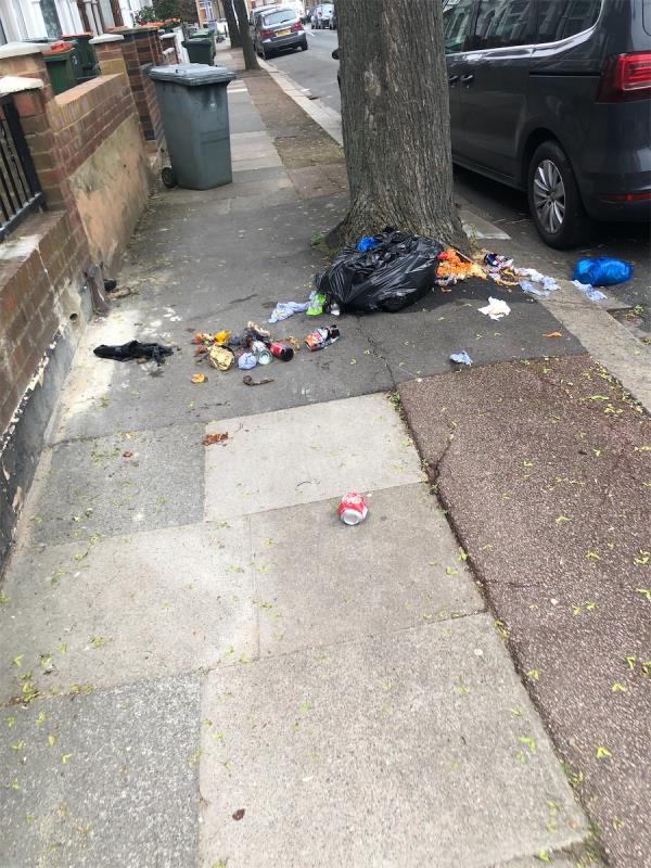 Litter everywhere -150 Sutton Court Road, Plaistow, London, E13 9NS
