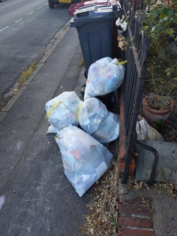 Several full bin bags have been dumped outside of number 12 Edgehill Street. The people who were renting there moved out this week, so it may have been them who left it. It is directly outside properties and crawling with flies.-12 Edgehill Street, Reading, RG1 2PX