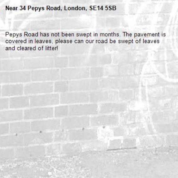 Pepys Road has not been swept in months. The pavement is covered in leaves, please can our road be swept of leaves and cleared of litter!-34 Pepys Road, London, SE14 5SB