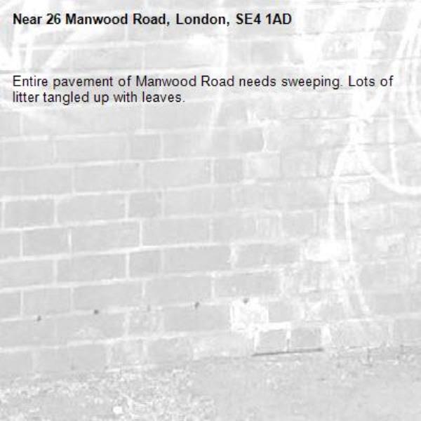 Entire pavement of Manwood Road needs sweeping. Lots of litter tangled up with leaves. -26 Manwood Road, London, SE4 1AD
