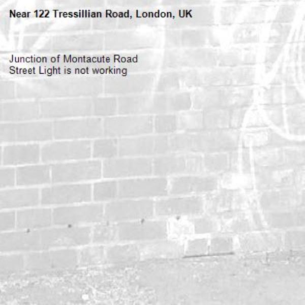 Junction of Montacute Road
Street Light is not working
-122 Tressillian Road, London, UK