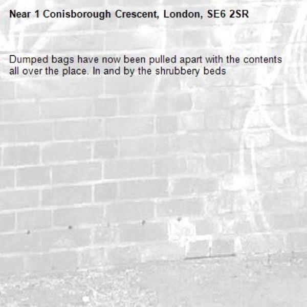 Dumped bags have now been pulled apart with the contents all over the place. In and by the shrubbery beds-1 Conisborough Crescent, London, SE6 2SR