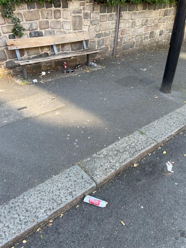 The usual tubbish dump. The street is filled with crushed cans and water bottles too-Marks House, 32-34 Clarendon Rise, Hither Green, London, SE13 5EY