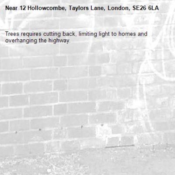 Trees requires cutting back, limiting light to homes and overhanging the highway.-12 Hollowcombe, Taylors Lane, London, SE26 6LA