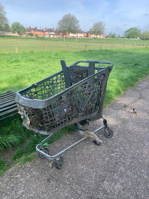 Trolley in park - pulled out of stream! Near Gallards Hill-41 Cort Crescent, Leicester, LE3 1QJ